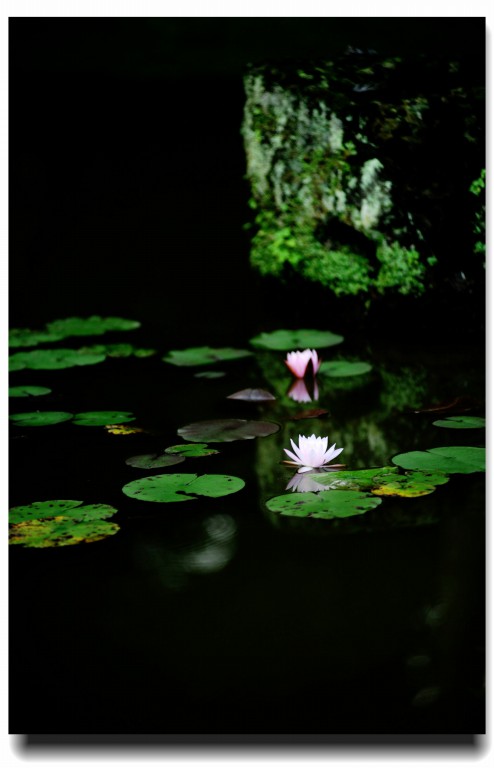 DSC_4148_副本.jpg