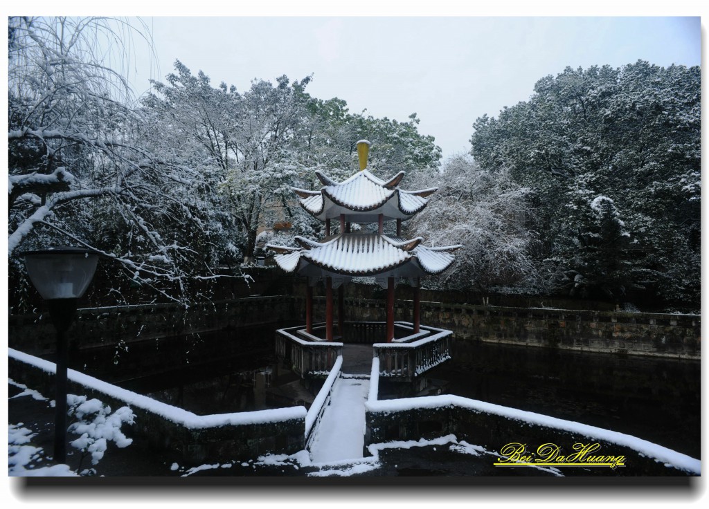 DSC_9483_副本.jpg